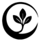 bareez black color 02